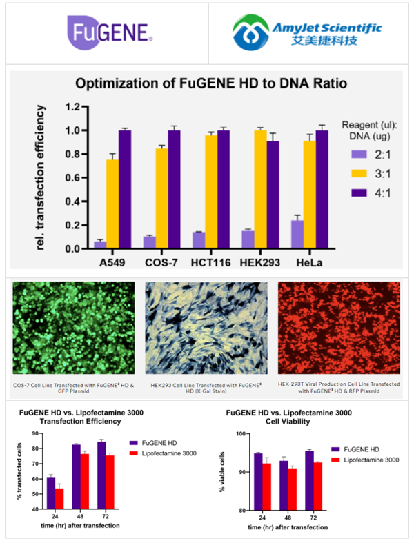 FuGENE HD