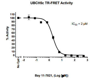 UBCH 5c TR-FRET检测试剂盒