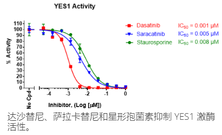 BPS bioscience：YES1 激酶检测试剂盒