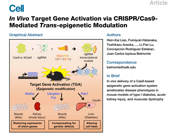 CRISPR.png