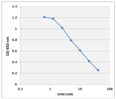 MET-5152.png