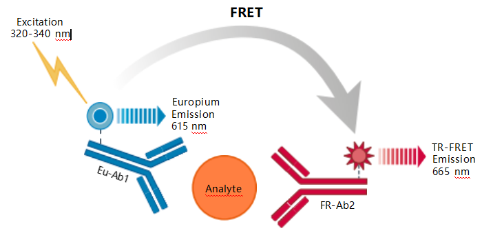 TR-FRET.png